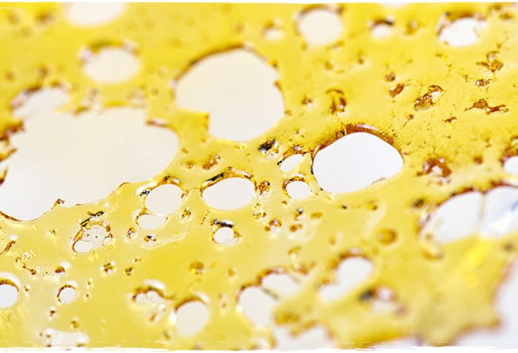 Buy Concentrates Products Online From Holi Concentrates