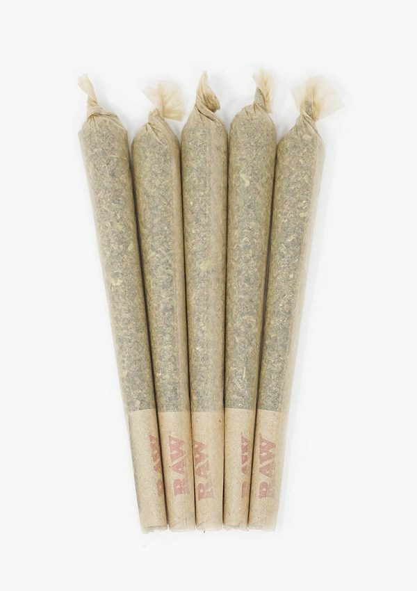Holi Concentrates Flower Four Pre-Rolls