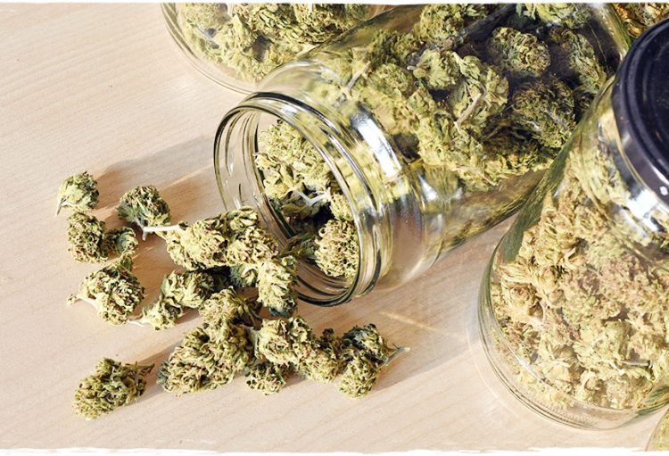 4 Powerful Indica Strains For Summer 2020