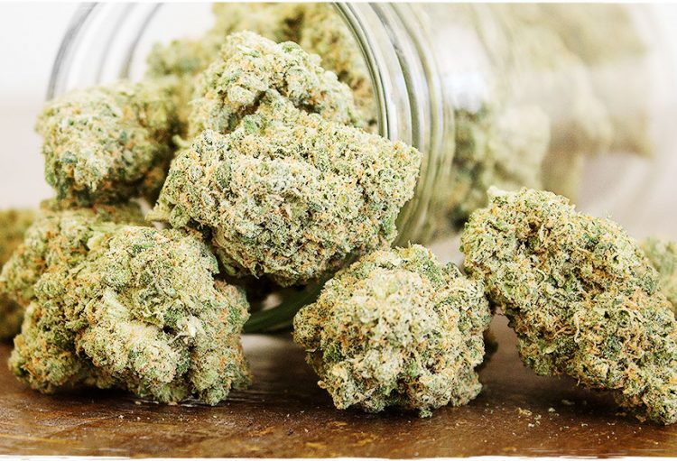 Holi Guide 2020: How To Effectively Store Your Marijuana