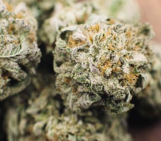 Does Marijuana Have An Expiry Date?