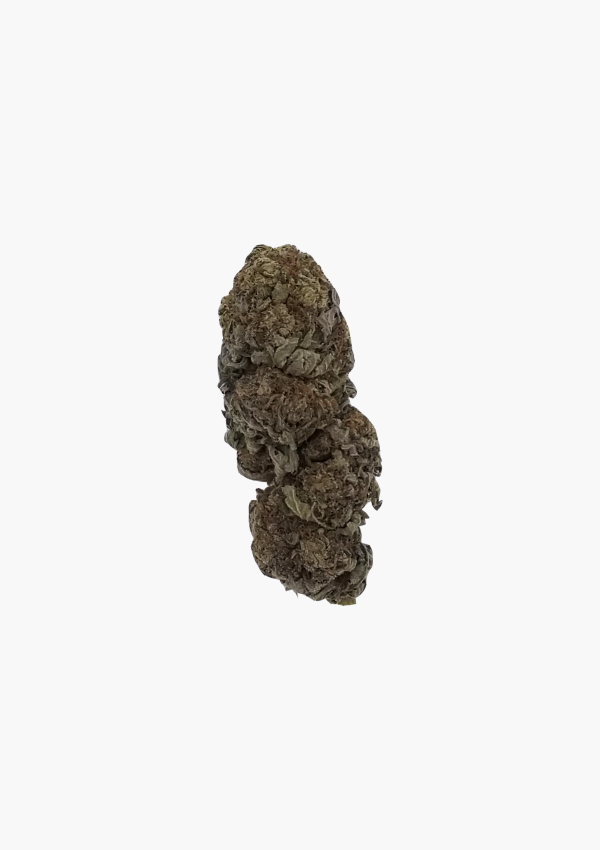 Holi Concentrates June Bud 2021 4