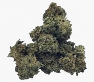 GORILLA GLUE – (HYBRID) (Discounted Premium Flower 1oz)