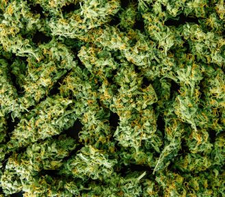 The Best Cannabis Strains for Day and Night Time Use