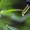 How to Heal From The Outside With Cannabis