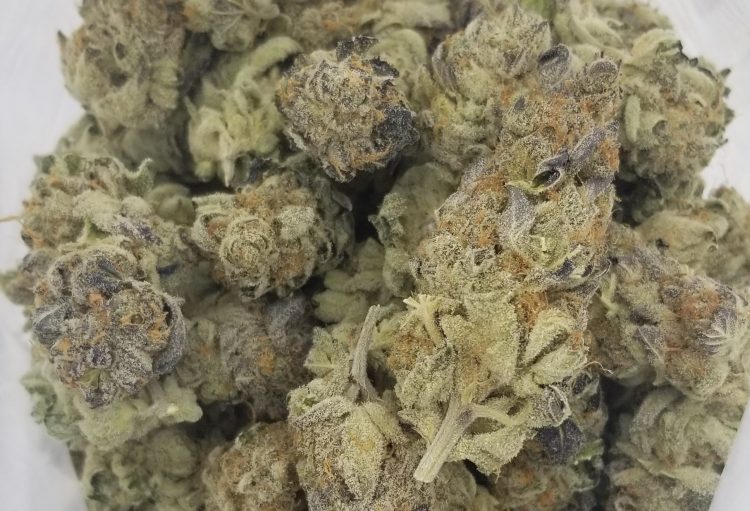 MANGO HAZE – (HYBRID) (Discounted Flower 1oz)