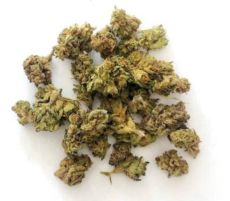 MASTER BOBS – (INDICA) (Discounted Flower 1oz)